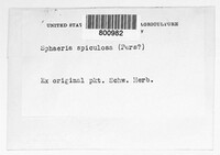 Diaporthe spiculosa image